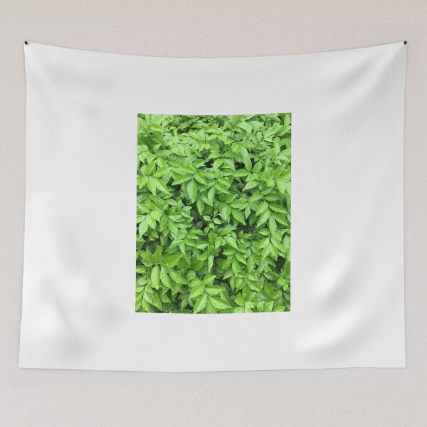 Item preview, Leaves and dew  designed and sold by Rudravi.