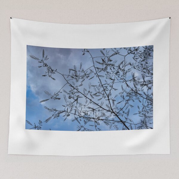 Item preview, Graceful Lace in the Sky - Mimosa Leaves and Buds Against Dusk Clouds - Horizontal View Upwards Right designed and sold by Georgia Mizuleva.