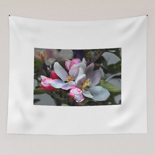 Item preview, Lox's Orange Pippin Apple Blossom Flowers designed and sold by Wernher Krutein.
