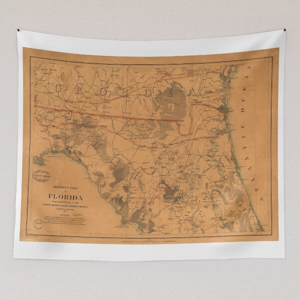 Item preview, Vintage Map of Northern Florida (1864) designed and sold by BravuraMedia.