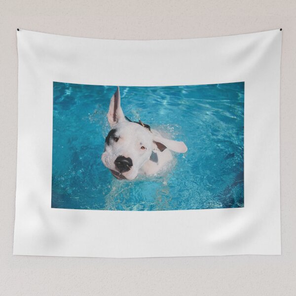 Item preview, Splash! designed and sold by Believeabull.
