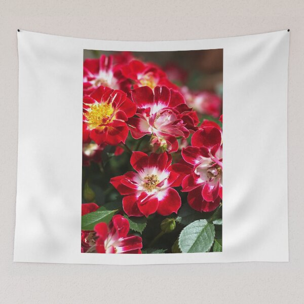 Item preview, Carpet Rose Red designed and sold by Joy Watson - Natural Light Photography .
