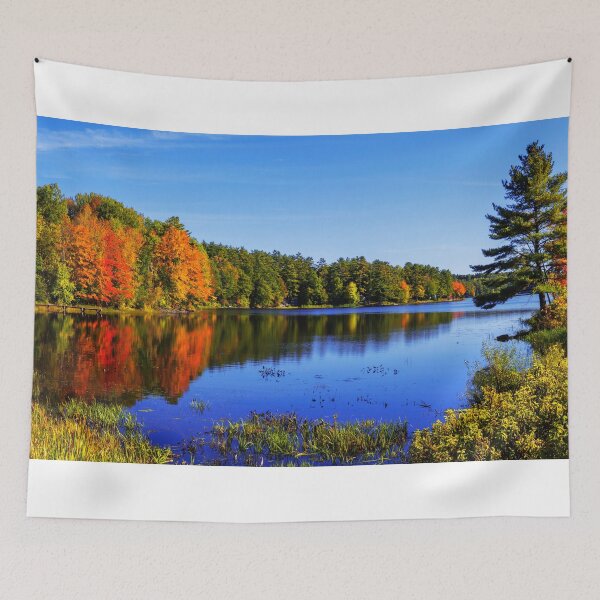 Item preview, Incredible designed and sold by Chad Dutson.