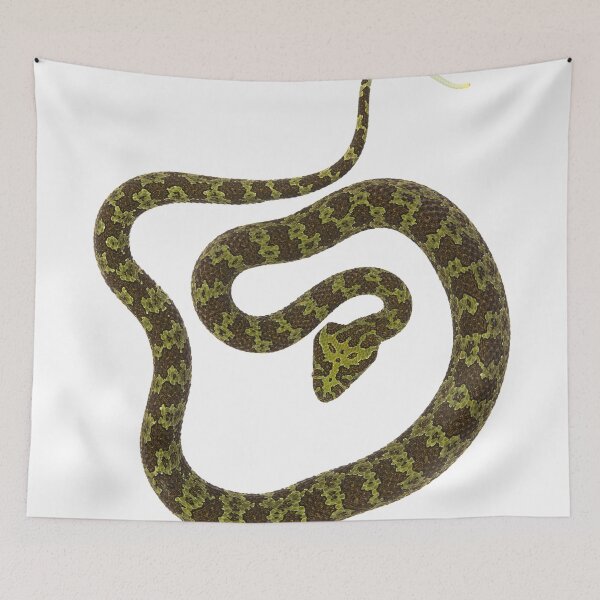 Item preview, Mangshan Pit Viper designed and sold by Thor  Håkonsen.