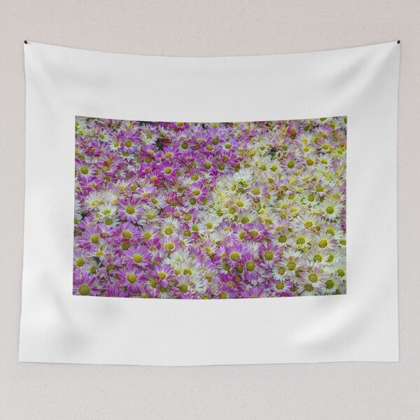 Item preview, USA. Nevada. Las Vegas. Bellagio. Inner Garden. Daisies. designed and sold by vadim19.