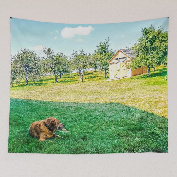 Item preview, Comet's Relaxing Day designed and sold by Victoriaklink55.