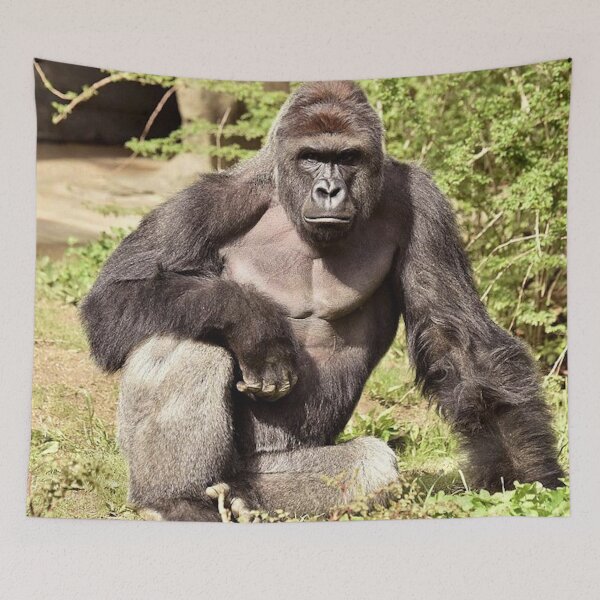 Item preview, Harambe designed and sold by Tom Shirtz.