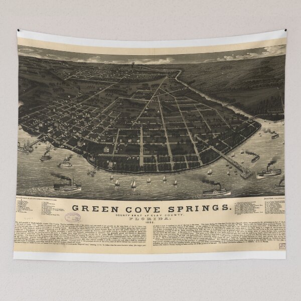 Item preview, Vintage Green Cove Springs FL Pictorial Map (1885) designed and sold by BravuraMedia.