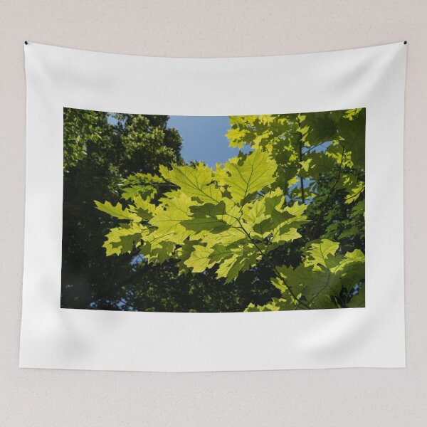Item preview, More Than Sixty Shades Of Green - Sunlit Oak and Linden Patterns - Up Left designed and sold by Georgia Mizuleva.