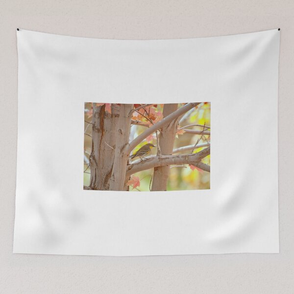 Item preview, Fall Colors With Yellow Rumped Warbler designed and sold by K D Graves Photography.