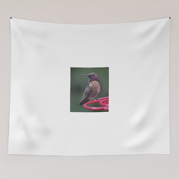 Item preview, MULTICOLORED MALE ANNA'S HUMMINGBIRD designed and sold by JAYMILO.