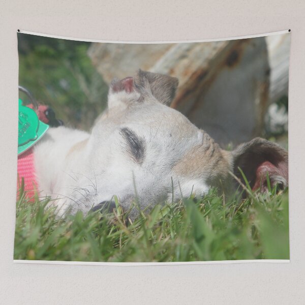 Item preview, Summer Siesta designed and sold by CWCards2013.