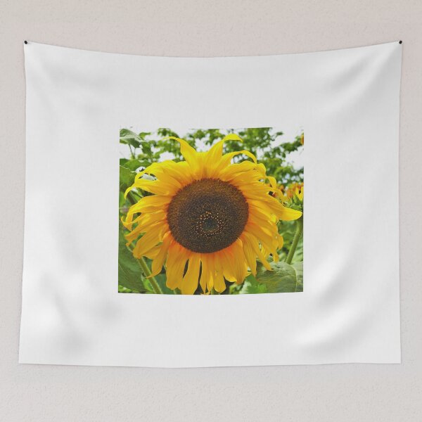 Item preview, Sunflower designed and sold by StudioCorvid.