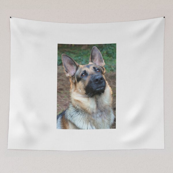 Item preview, AXEL VON BREWSTER BY JEFF BREWSTER designed and sold by thefigleaf.