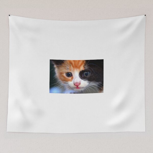 Item preview, The face of Cuteness designed and sold by David Lee Thompson.