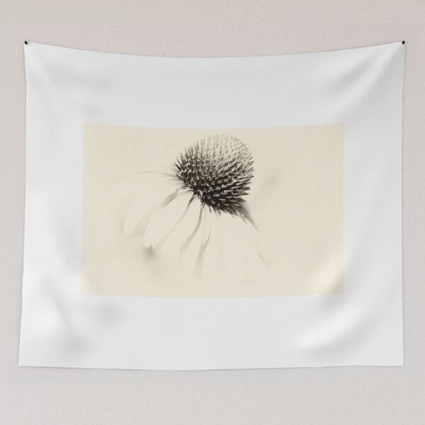 Item preview, Echinacea-B&W designed and sold by Spring Reilly.