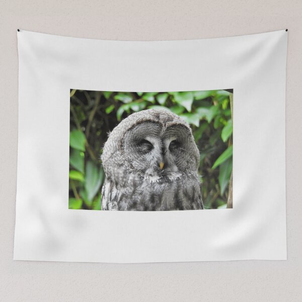 Item preview, Sleepy owl  designed and sold by StudioCorvid.