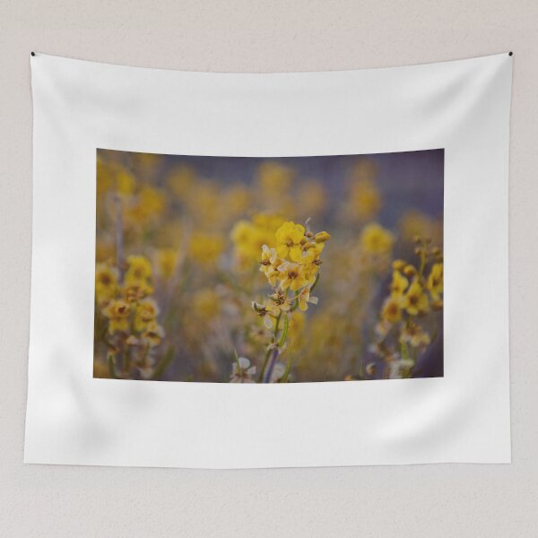 Item preview, Desert Bloom designed and sold by Katie Doner.