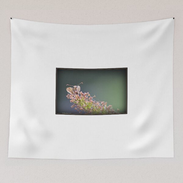 Item preview, Most Cute and Curious Pecks Skipper in the World designed and sold by Deb  Badt-Covell.