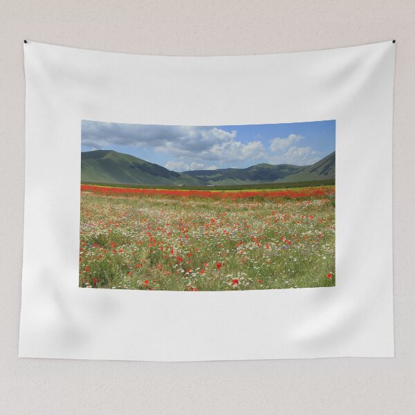 Item preview, The flowers of Castelluccio designed and sold by annalisa56.