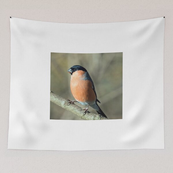 Item preview, Male bullfinch designed and sold by Itsgrimupnorth.