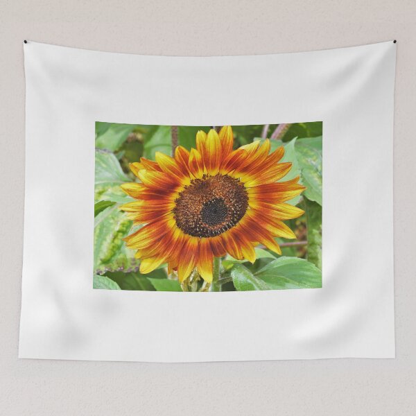 Item preview, Red sunflower designed and sold by StudioCorvid.