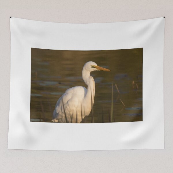 Item preview, Sunset Egret  designed and sold by byronbackyard.
