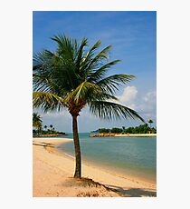 Palm Beach Paradise Photographic Print