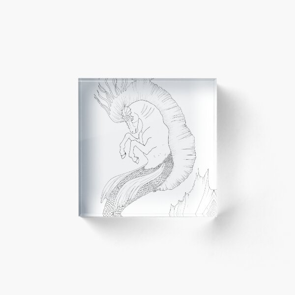 Hand Drawn Fantasy Hippocamp Acrylic Block