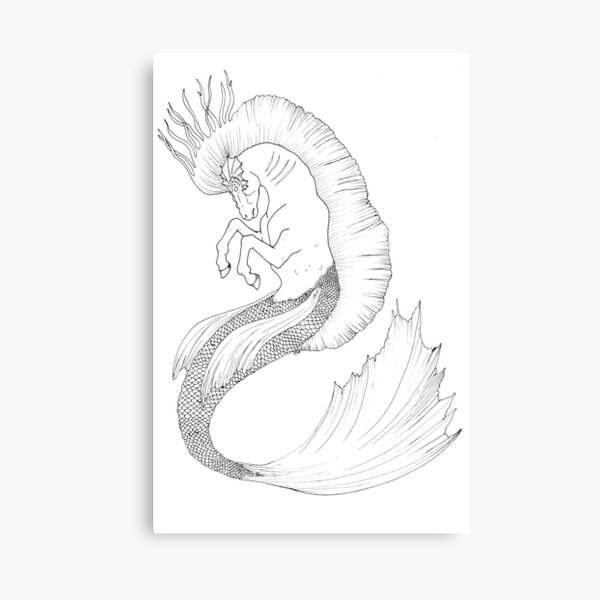 Hand Drawn Fantasy Hippocamp Canvas Print