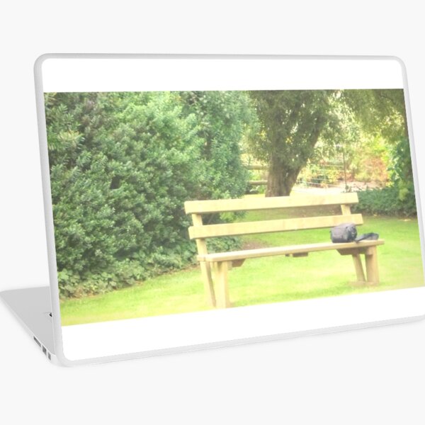 Empty bench Laptop Skin