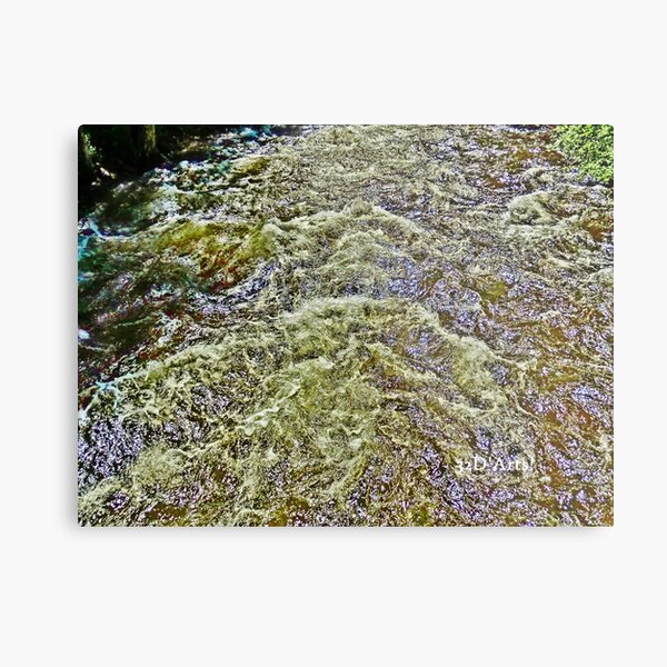 Roaring Fork River, Aspen Metal Print
