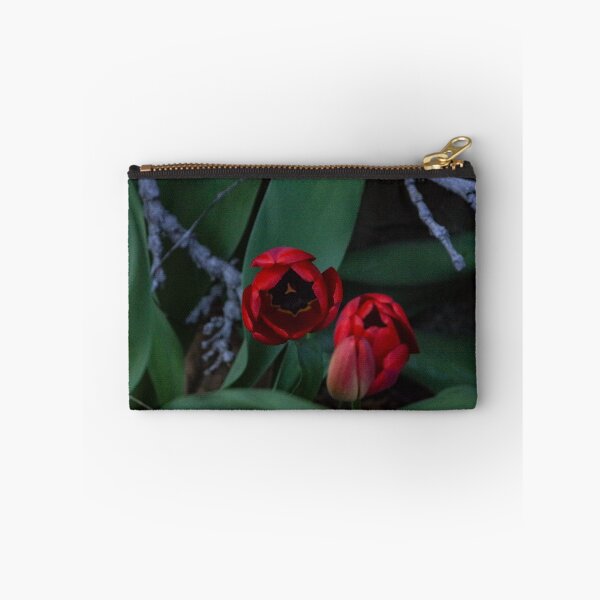 Item preview, Tulips waiting for the Sun designed and sold by SRosuphotos.