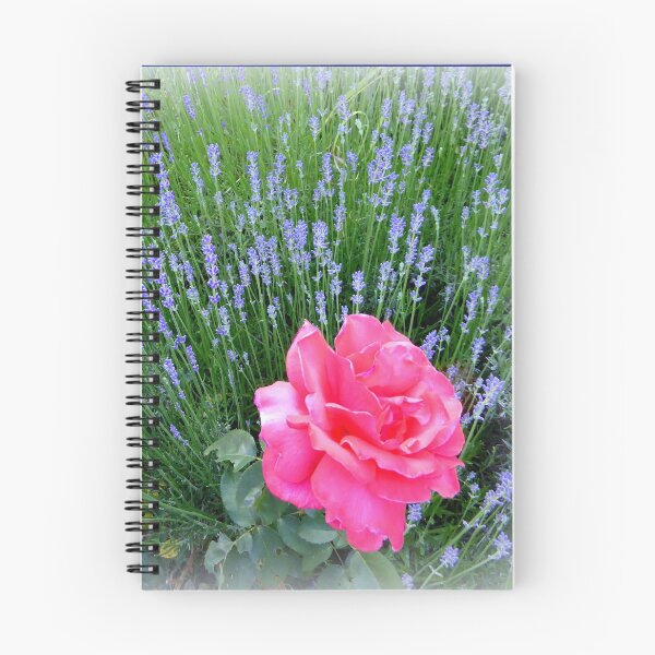 Item preview, Lavender and Rose designed and sold by Charmiene Maxwell-Batten.