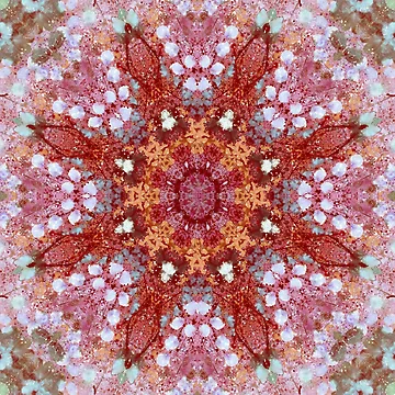 Artwork thumbnail, Pink Star Flower by Ruth Palmer