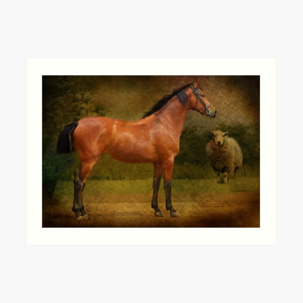 The Race Horse. (TB X Polish Warmblood ) Art Print