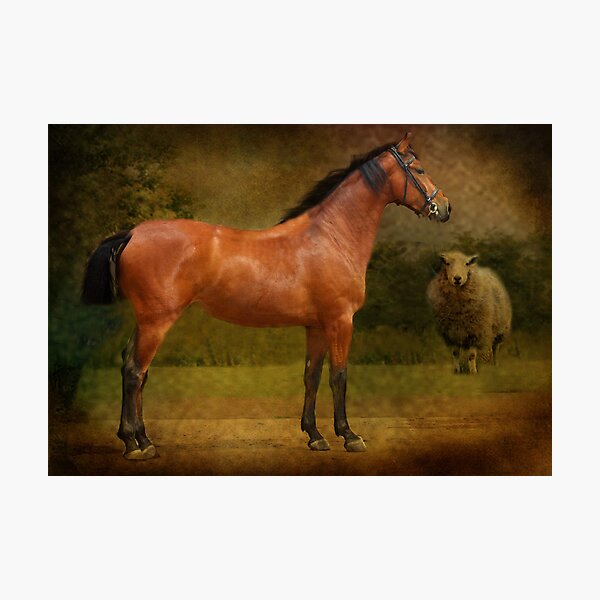 Item preview,  The  Race Horse. (TB X Polish Warmblood ) designed and sold by Irene  Burdell.