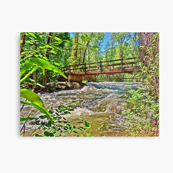 Roaring Fork River, Aspen 2 Metal Print