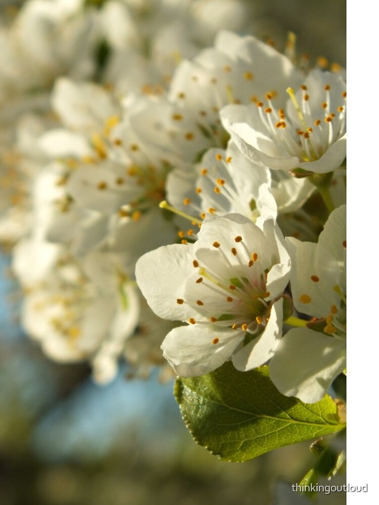 Thumbnail 5 of 5, iPhone Case, Hello Spring designed and sold by thinkingoutloud.