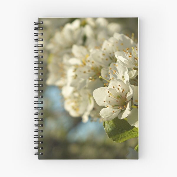 Item preview, Hello Spring designed and sold by thinkingoutloud.
