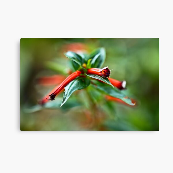 Item preview, Flower designed and sold by pixel-cafe .de.