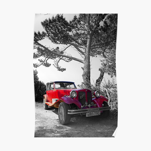In the Shade of a Pine Poster