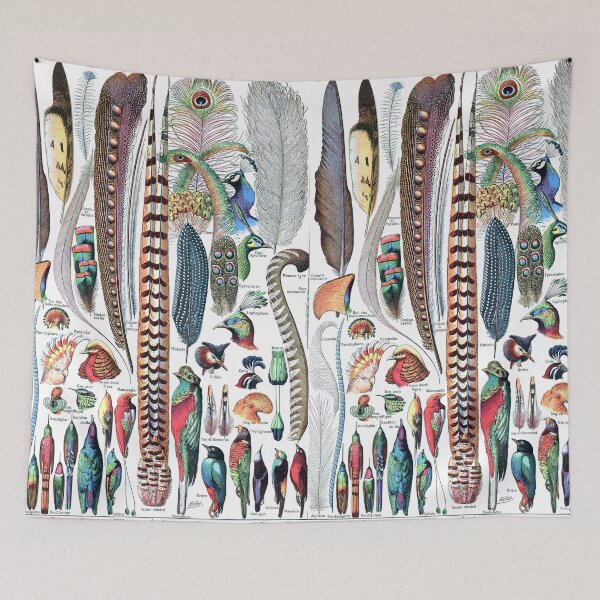 Item preview, COLORFUL BIRD FEATHERS Tropical Birds,Parrots,Peacocks Vintage Animal Drawings designed and sold by BulganLumini.
