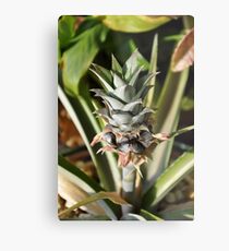 Pineapple Metallbild