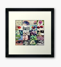 cover Framed Print