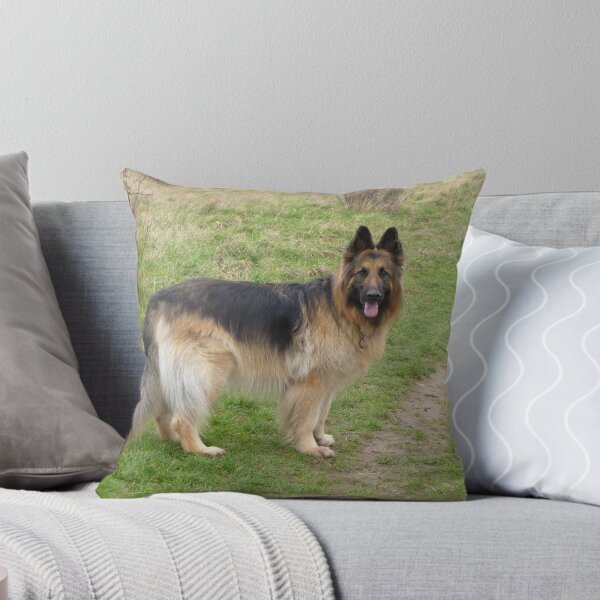 Item preview, Chelsea designed and sold by Vicki Spindler (VHS Photography).
