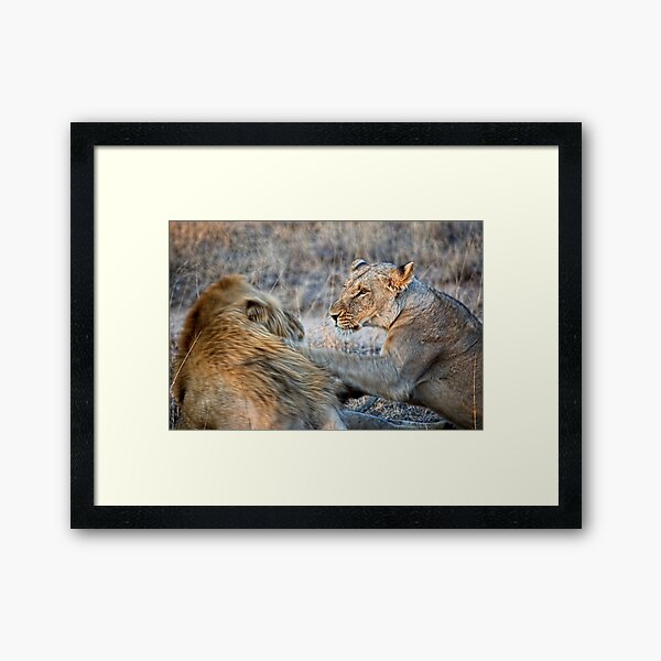 Item preview, She Is Soooo Annoyed designed and sold by Michael Moss Photography.