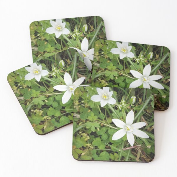 Item preview, Snowy Starry Flowers designed and sold by MooseDogPhotos.