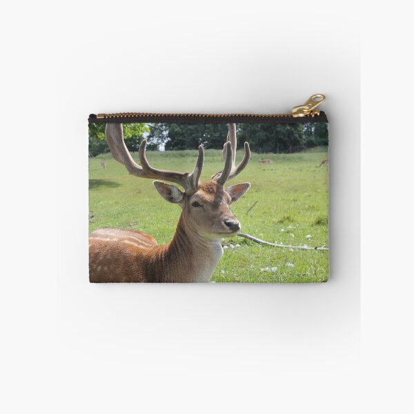 Item preview, Beauty in the Park designed and sold by Vicki Spindler (VHS Photography).