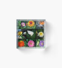 Calendar Print 10 Acrylic Block